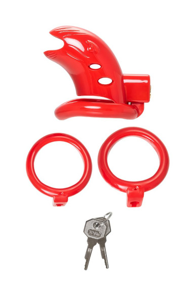 Красный мужской пояс верности из пластика Красный мужской пояс верности из пластика