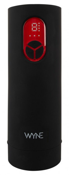 Мастурбатор с двумя моторами WYNE Masturbator 07