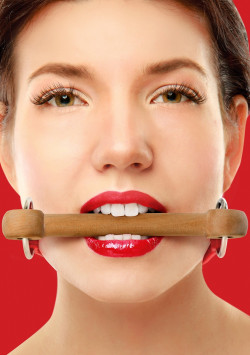 Красный кляп Wooden Bridle с деревянным трензелем Красный кляп Wooden Bridle с деревянным трензелем