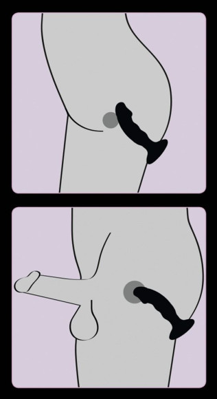 Черная реалистичная анальная вибровтулка - 14 см. Черная реалистичная анальная вибровтулка - 14 см.