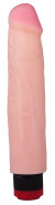Реалистичный вибромассажер с встроенным пультом - 24,2 см.