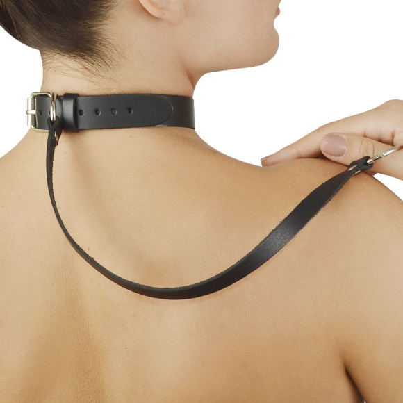 Голубой меховой ошейник с кожаным поводком Голубой меховой ошейник с кожаным поводком